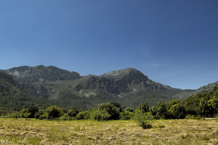 La Carretera vella de Pollen�a a LLuc...