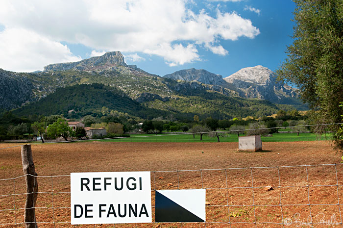 Can Pontico, de camp de tir a refugi de fauna