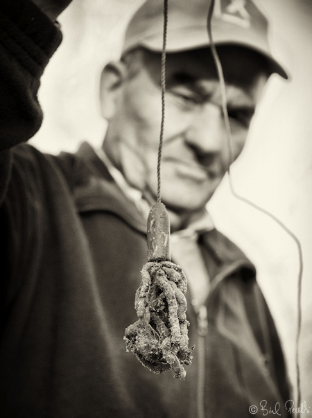 Pescar anguiles amb cucada