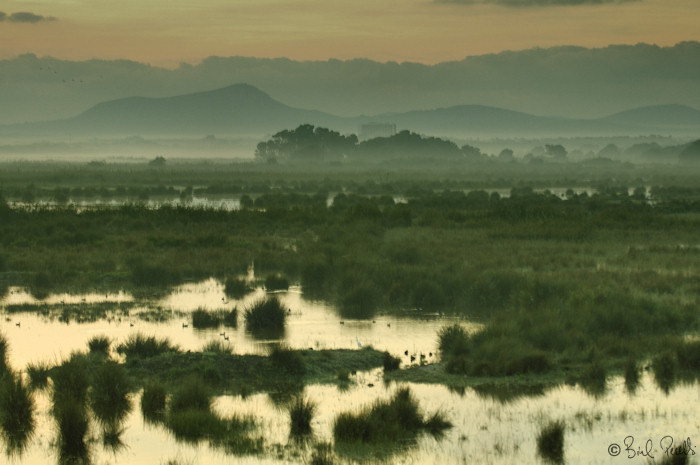 20 anys del Parc Natural de s'Albufera