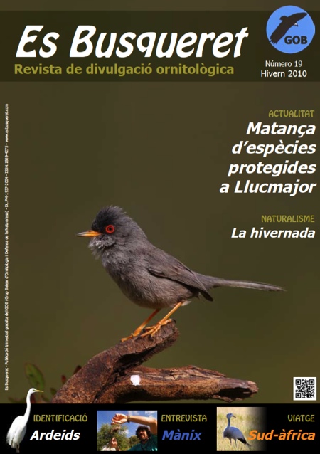 Portada ES BUSQUERET 19