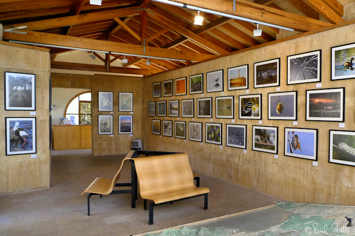 L'AFONIB amb s'Albufera