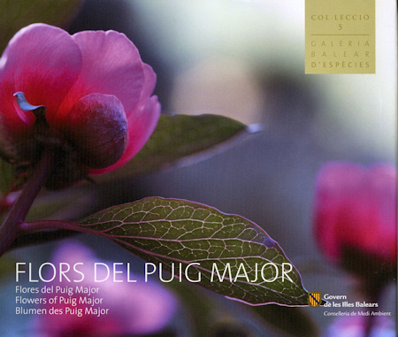Flors del Puig Major