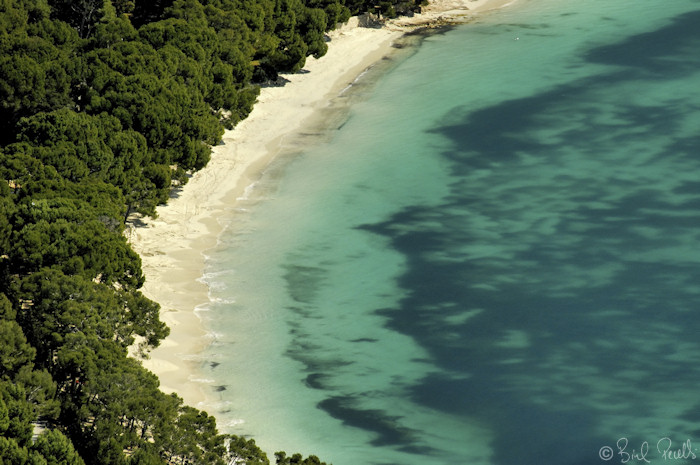 Tornaran t�rboles les aig�es de Formentor ?