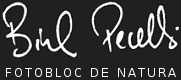 Biel Perell� - FotoBloc de Natura
