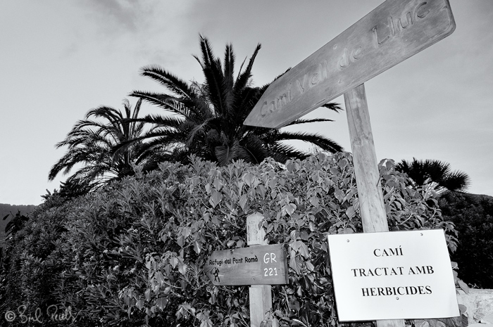 Herbicides als camins... millor que no !