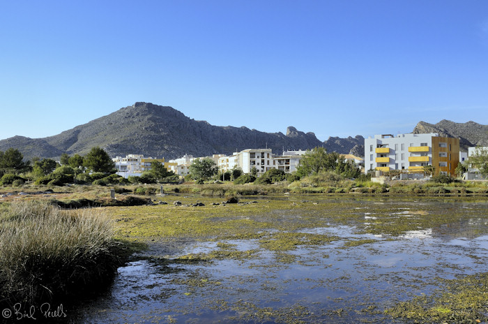 La Gola, espai beneit ?