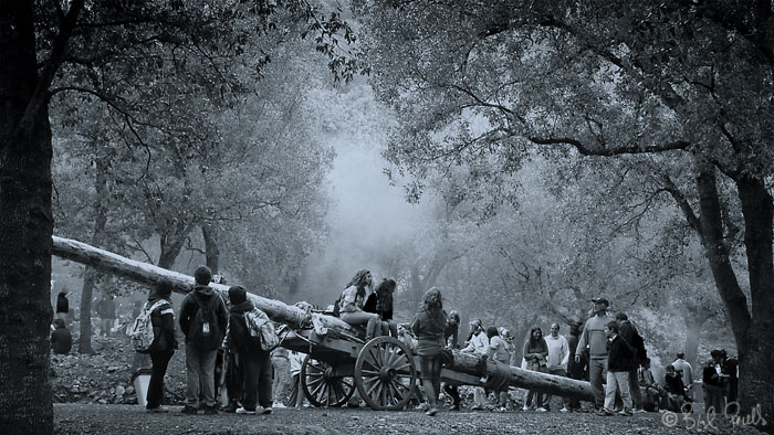 El pi de Sant Antoni, 1972