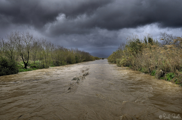 Plena a s'Albufera de Mallorca