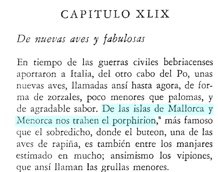 Gall Faver - Plini detall