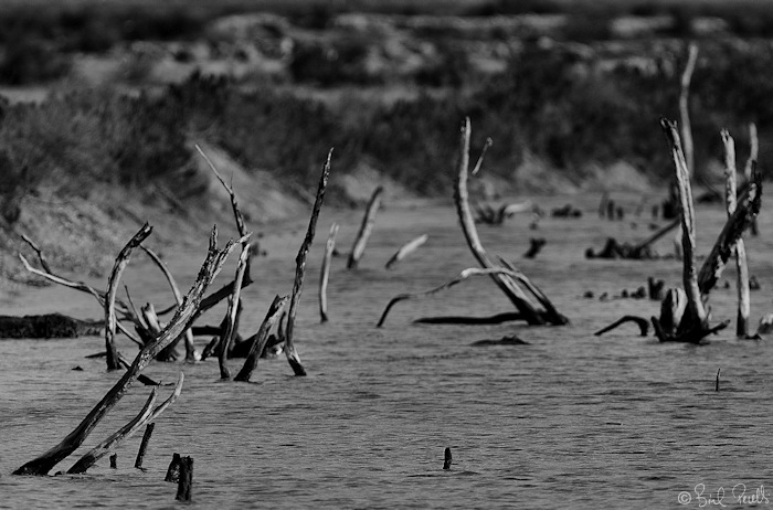 Es Trenc, parc natural... ara si ?