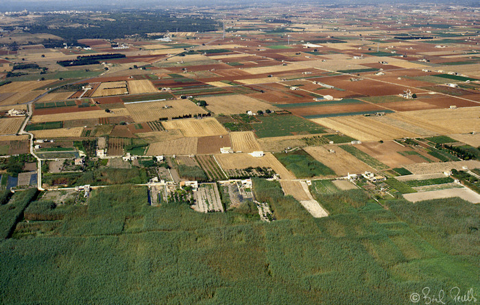 Per s'Albufera, millor que no...