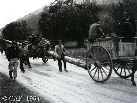 Sant Antoni, 1954 - CAF