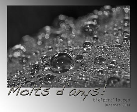 Molts d'anys ! � Biel Perello, 2011