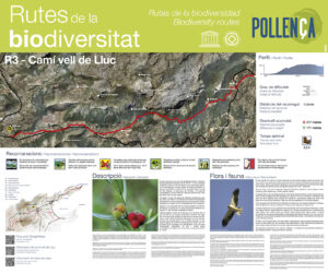 Ruta 3 - Camí vell de Lluc ©Ajuntament de Pollença.