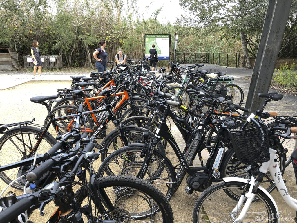 Bicicletes a Sa Roca (s'Albufera) ©bielperello.com