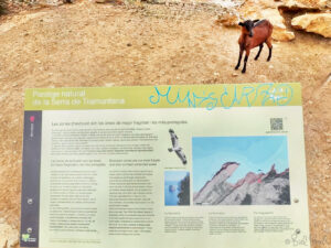 Zona d'exclusió. Mirador de la Creueta (del Colomer). Pollença ©bielperello.com