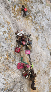 Candaus al penya-segat del Mirador del Colomer (Pollença) - ©bielperello.com