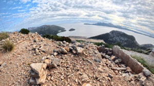 Caramulls tomats. Talaia d'Albercutx, Pollença. Març 2026.