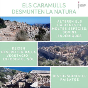 Els caramulls desmunten la natura @GOIB, 2020