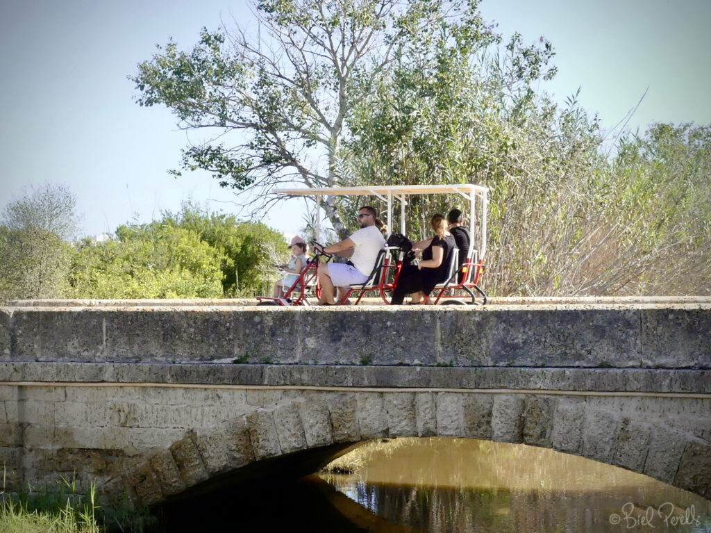 Quadricicle/Surrey s s'Albufera ©bielperello.com