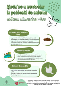 Ajuda'ns a controla la població de coloms