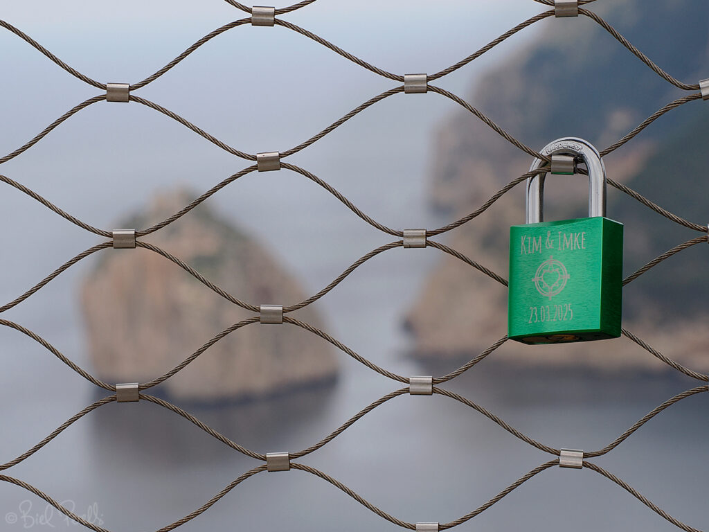 El Colomer (Pollença) ©bielperello.com