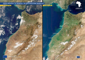 Marroc febrer 2025-febrer 2026 ©copernicus
