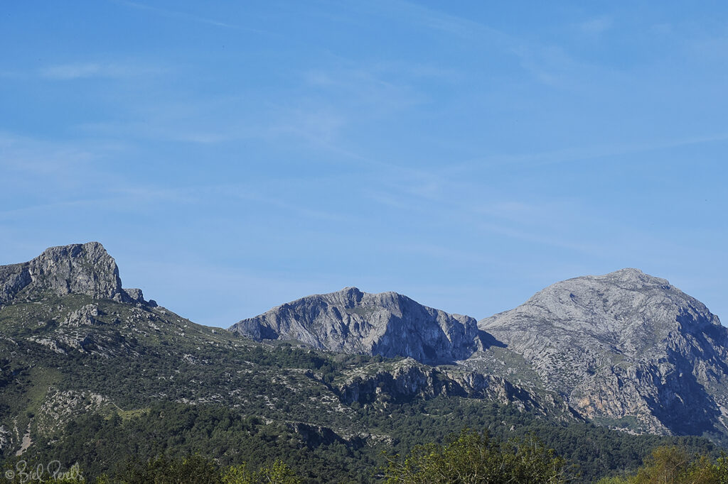 Cuculla de Fartàritx, Puig de Ca i Puig Tomir @bielperello.com
