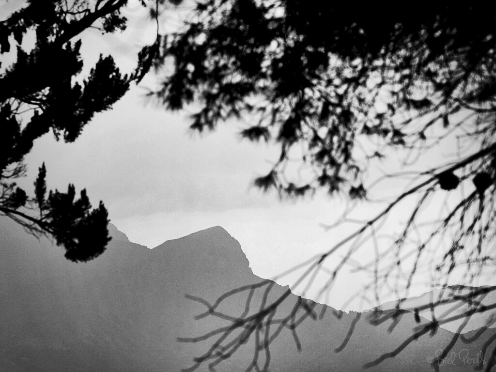 Cuculla de Fartàritx - ©bielperello.com