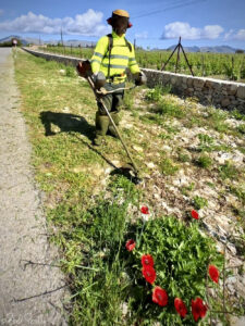 Operari del Consell de Mallorca desbrossant una vorera ©bielperello.com