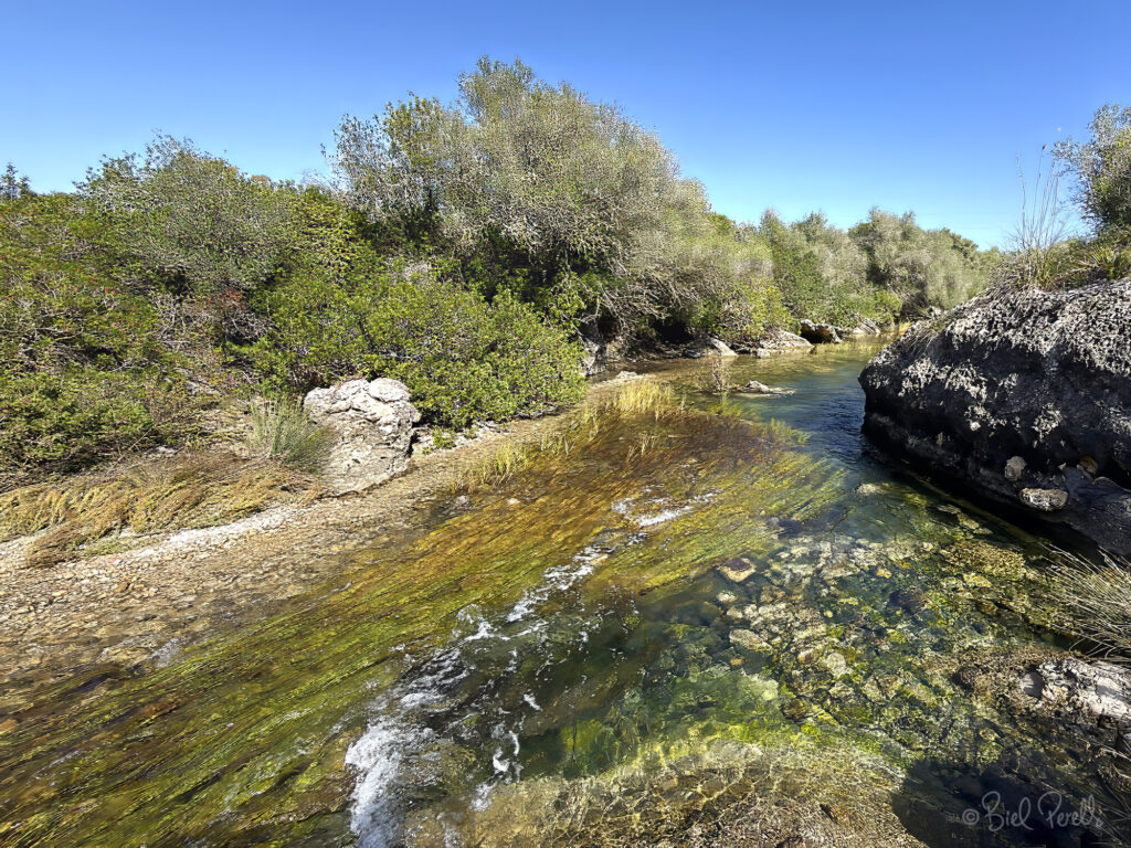 El Rec. Pollença, 2025. ©bielperello.com