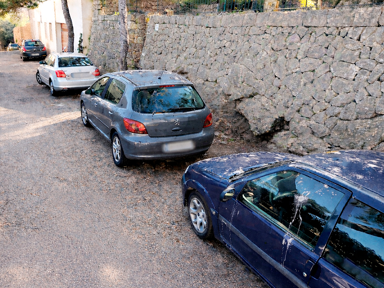 Cotxes afectats per excrements de colom