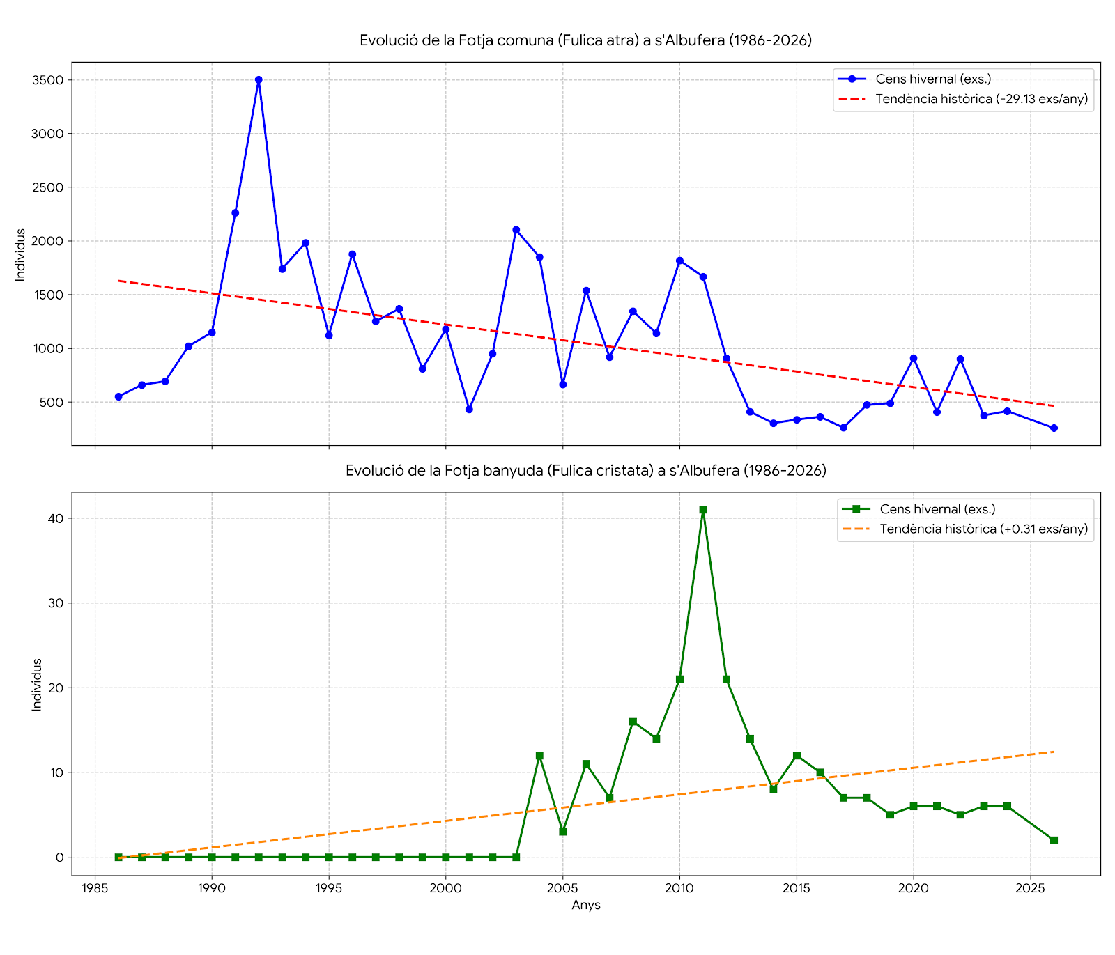 Evolució població fotges a s'Albufera ©bielperello.com