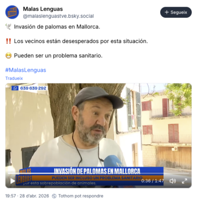 Plaga de coloms a Pollença. Malas Lenguas