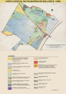 Mapa de vegetació de s'Albufera de Mallorca, 1986