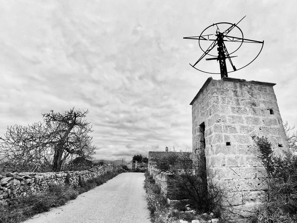 Moli i figuera @bielperello.com