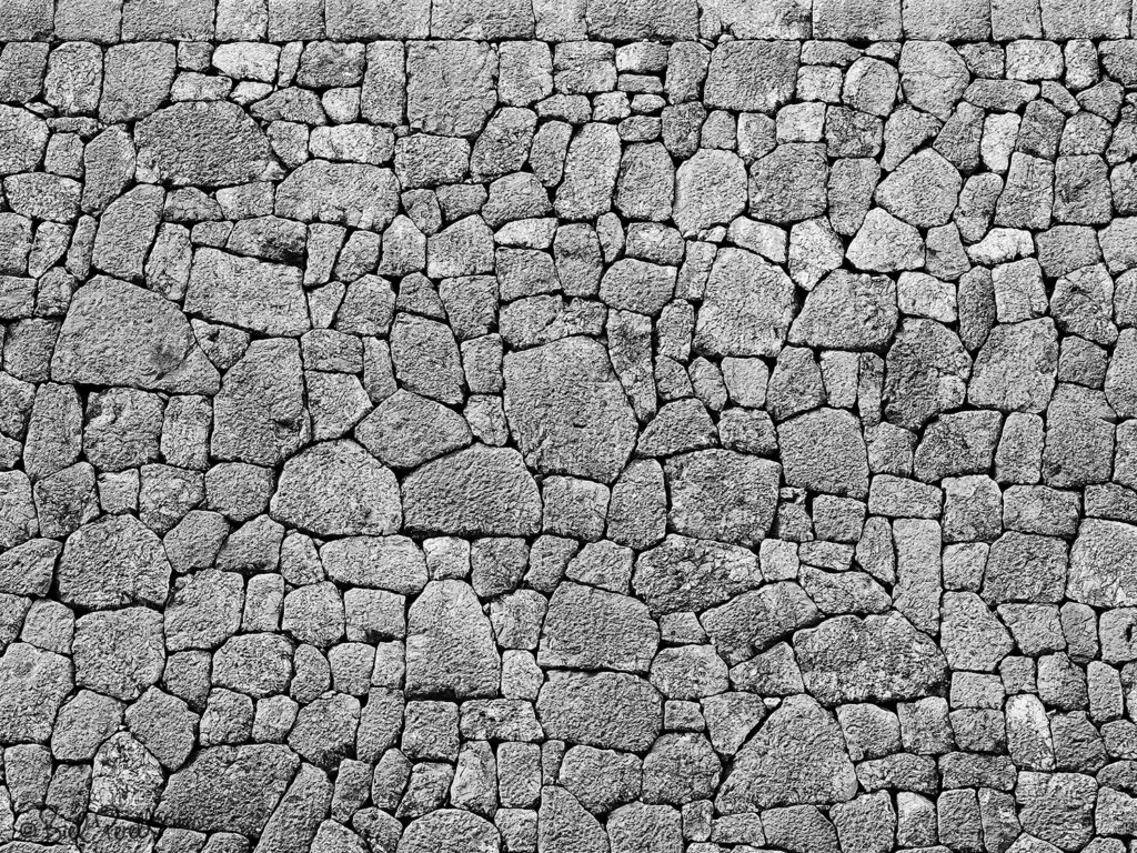 Paret. Camí dels Presos de Coves Blanques ©bielperello.com
