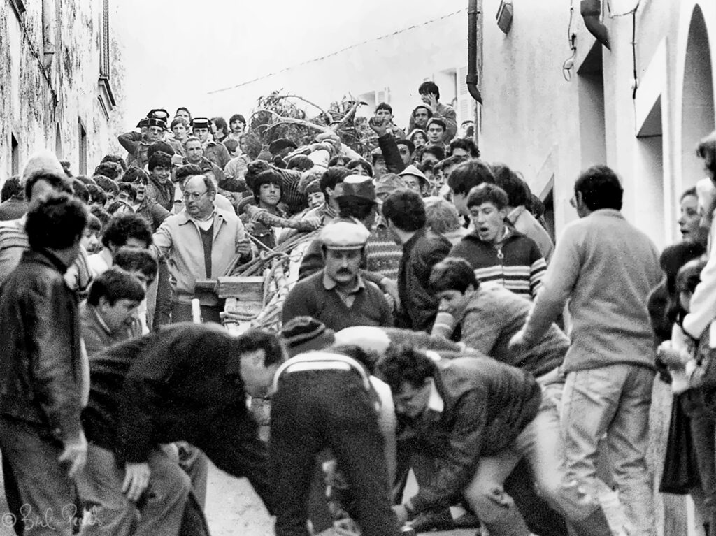 Baixada de La Roca de Tomàs. Pi de Sant Màrius - 1985 ©bielperello.com