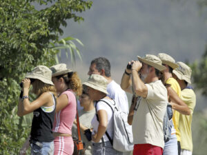 Visita ornitològica guiada a s'Albufera ©bielperello.com